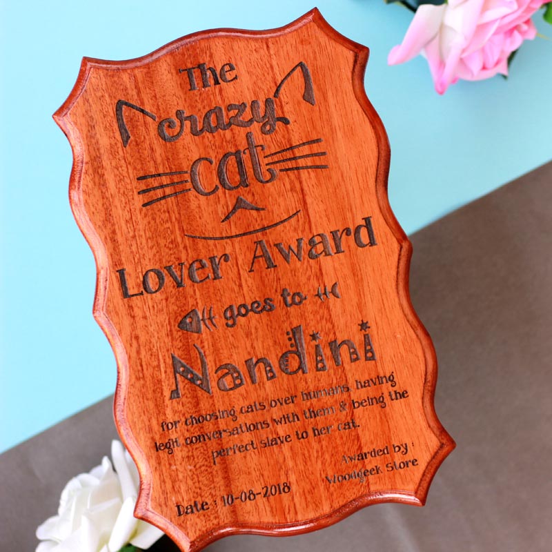 The Crazy Cat Lady/Lover Funny Recognition Award